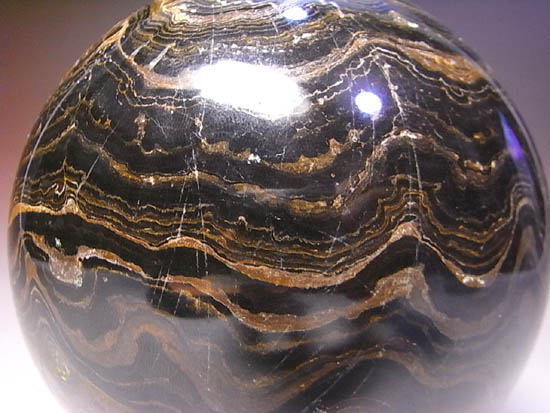 全ての化石の根源!地球に酸素をくれたストロマトライトの化石(その8)