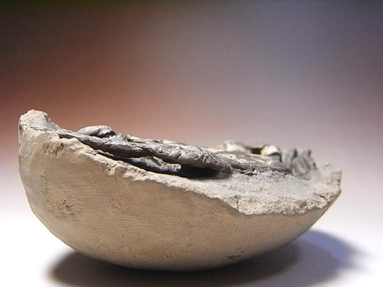 ノジュールの中からこんにちは!カニの化石(その17)