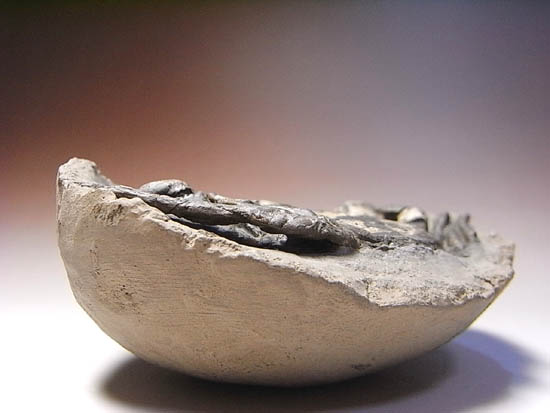 ノジュールの中からこんにちは!カニの化石(その18)