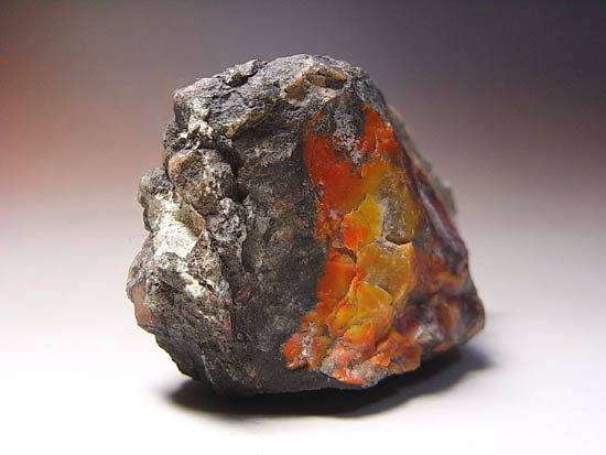 きれい!ジュラ紀の恐竜のウンチ化石(その2)