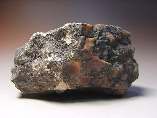きれい!ジュラ紀の恐竜のウンチ化石(その3)