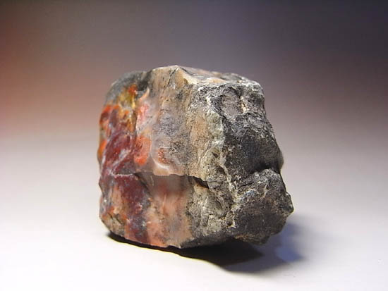 きれい!ジュラ紀の恐竜のウンチ化石(その4)