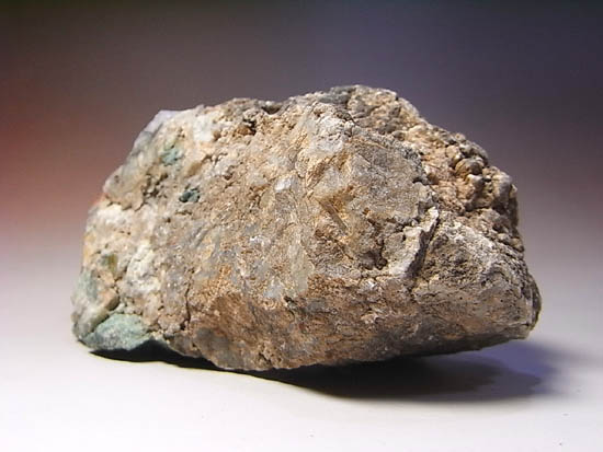 きれい!ジュラ紀の恐竜のウンチ化石(その7)