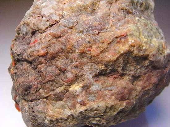 でかくて高品質!ジュラ紀の恐竜のウンチ化石(その11)