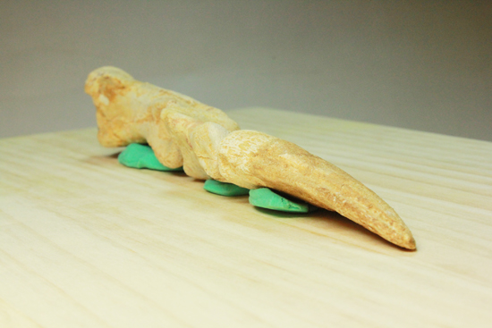 スピノサウルスの足節骨3つ(その2)
