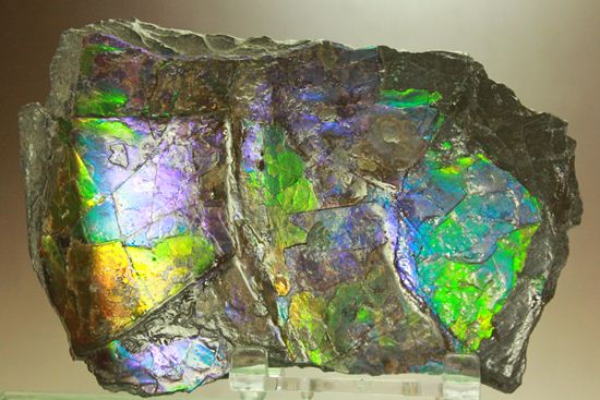 ?室内に海を展示しませんか?エメラルドグリーン・ブルーに染まった海のごとく輝くアンモライト片(その10)