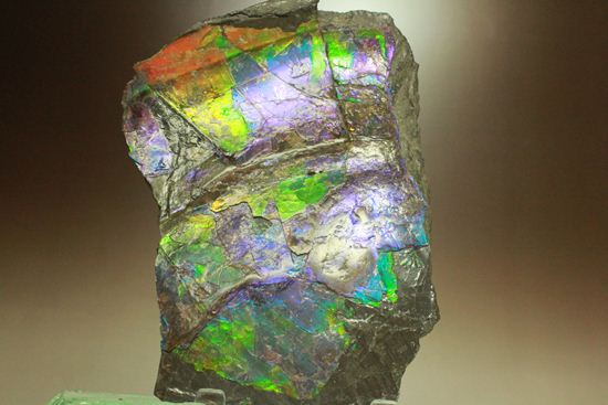 ?室内に海を展示しませんか?エメラルドグリーン・ブルーに染まった海のごとく輝くアンモライト片(その12)