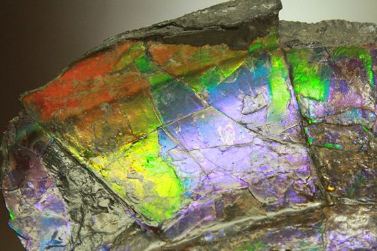 ?室内に海を展示しませんか?エメラルドグリーン・ブルーに染まった海のごとく輝くアンモライト片(その14)