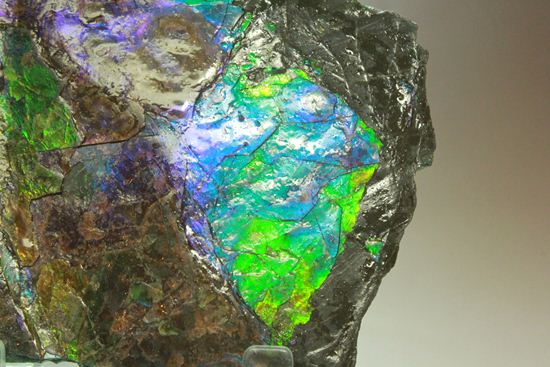?室内に海を展示しませんか?エメラルドグリーン・ブルーに染まった海のごとく輝くアンモライト片(その2)