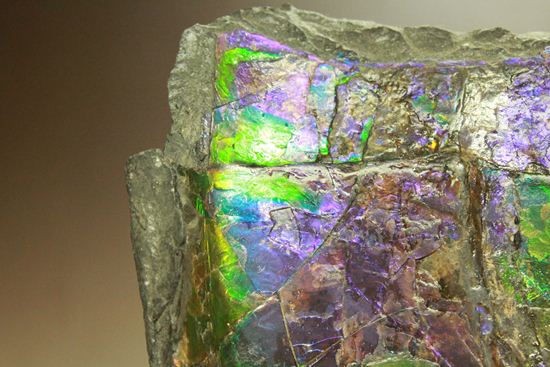 ?室内に海を展示しませんか?エメラルドグリーン・ブルーに染まった海のごとく輝くアンモライト片(その5)