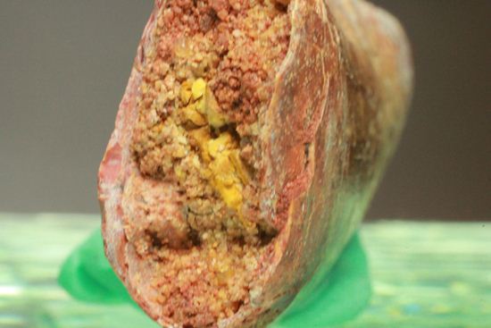 カルカロドントサウルスの歯（ナチュラル度高い）（その11）