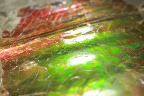 割れが少なく、鏡面のように輝くアンモライト(その16)