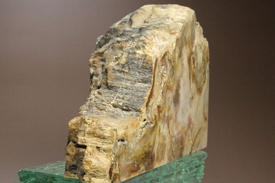 ブックエンドに最適！古生代ペルム紀の珪化木化石（その3）