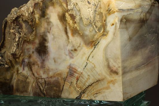 ブックエンドに最適！古生代ペルム紀の珪化木化石（その9）