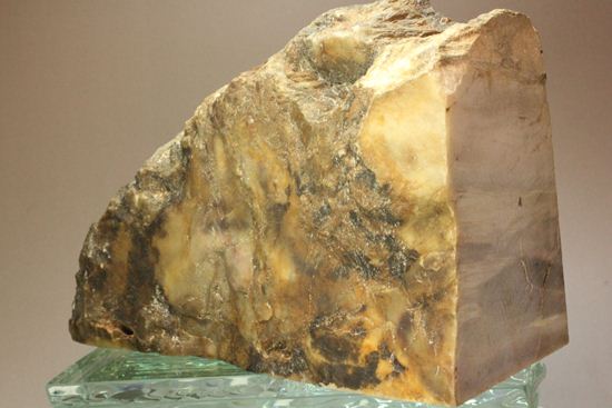 ブックエンドに最適！年輪がじっくり見える古生代ペルム紀の珪化木の化石（その13）