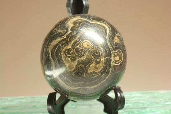 地球に大量の酸素をもたらした元となったストロマトライトの化石(Stromatolite)(その1)