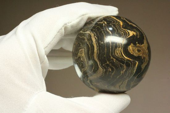 地球に大量の酸素をもたらした元となったストロマトライトの化石(Stromatolite)(その10)