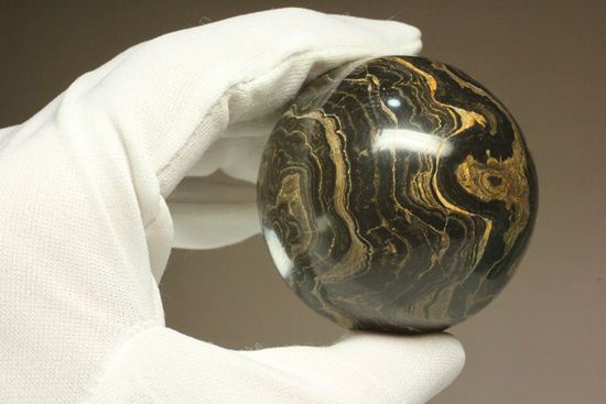 地球に大量の酸素をもたらした元となったストロマトライトの化石(Stromatolite)（その10）