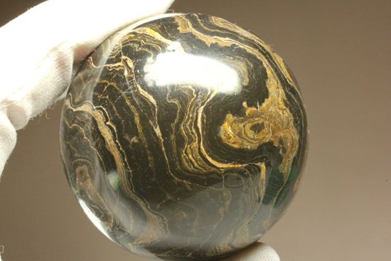 地球に大量の酸素をもたらした元となったストロマトライトの化石(Stromatolite)(その11)