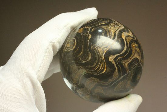地球に大量の酸素をもたらした元となったストロマトライトの化石(Stromatolite)(その12)
