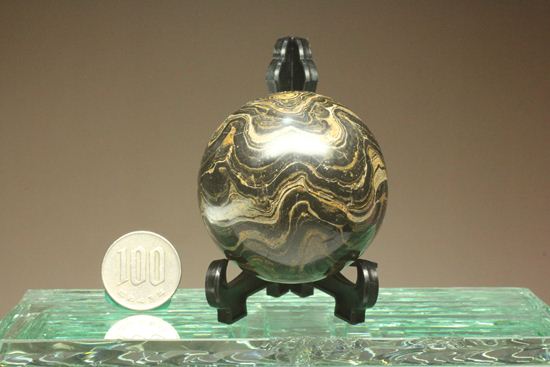 地球に大量の酸素をもたらした元となったストロマトライトの化石(Stromatolite)(その8)