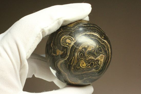 地球に大量の酸素をもたらした元となったストロマトライトの化石(Stromatolite)(その9)