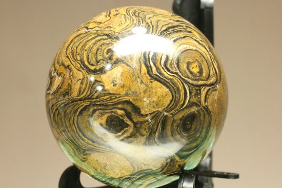 地球の歴史の元となったストロマトライトの化石(Stromatolite)（その12）