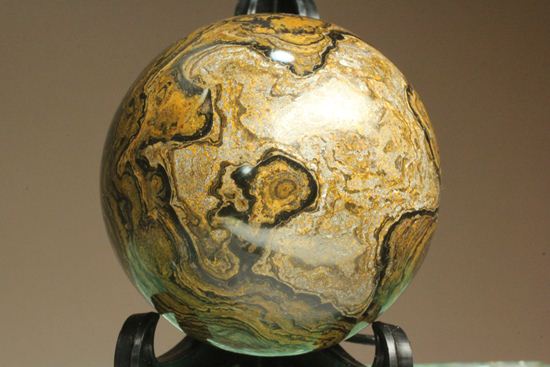 地球の歴史の元となったストロマトライトの化石(Stromatolite)（その4）