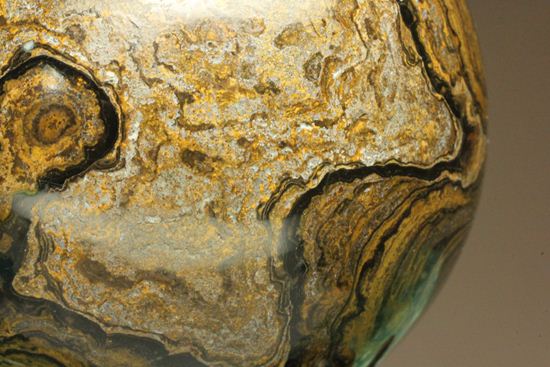 地球の歴史の元となったストロマトライトの化石(Stromatolite)（その7）