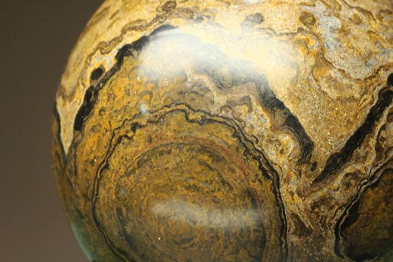 地球の歴史の元となったストロマトライトの化石(Stromatolite)（その13）