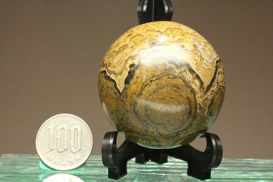 地球の歴史の元となったストロマトライトの化石(Stromatolite)（その14）