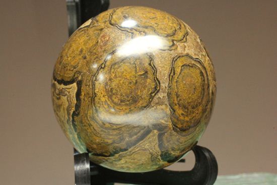 地球の歴史の元となったストロマトライトの化石(Stromatolite)（その3）