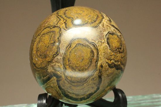 地球の歴史の元となったストロマトライトの化石(Stromatolite)（その9）