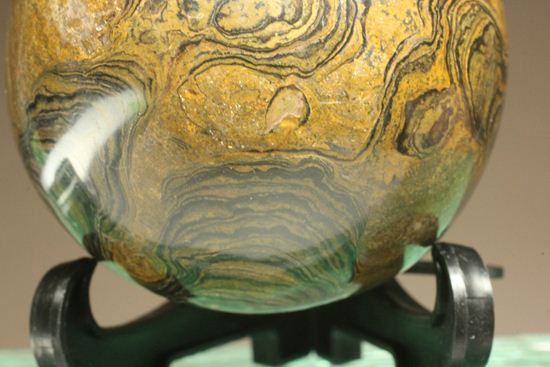 地球に大量の酸素をもたらした元となったストロマトライトの化石(Stromatolite)(その10)