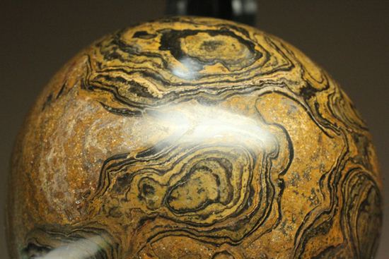 地球に大量の酸素をもたらした元となったストロマトライトの化石(Stromatolite)(その11)