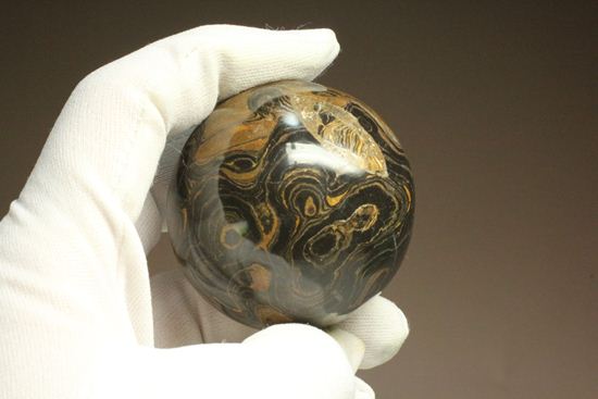 地球に大量の酸素をもたらした元となったストロマトライトの化石(Stromatolite)(その15)