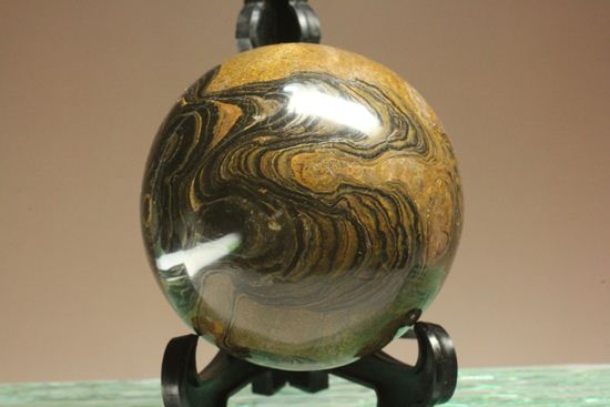 地球に大量の酸素をもたらした元となったストロマトライトの化石(Stromatolite)(その2)