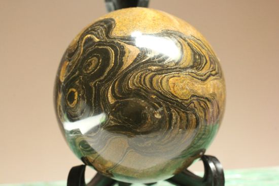 地球に大量の酸素をもたらした元となったストロマトライトの化石(Stromatolite)(その3)