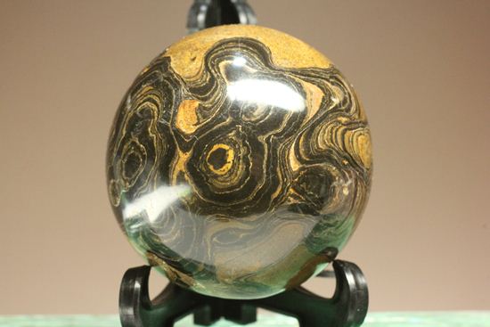 地球に大量の酸素をもたらした元となったストロマトライトの化石(Stromatolite)(その4)