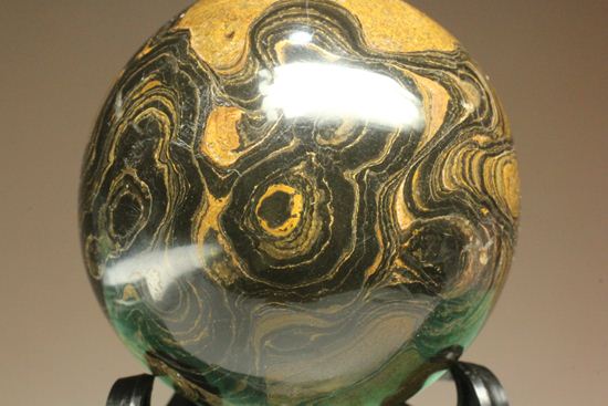 地球に大量の酸素をもたらした元となったストロマトライトの化石(Stromatolite)(その5)