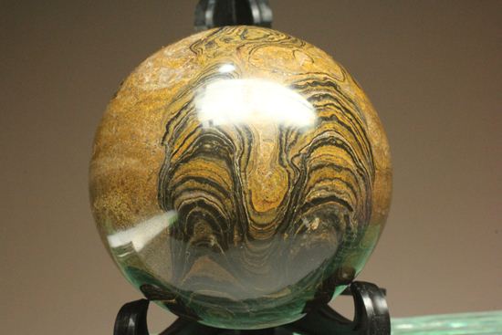 地球に大量の酸素をもたらした元となったストロマトライトの化石(Stromatolite)(その6)