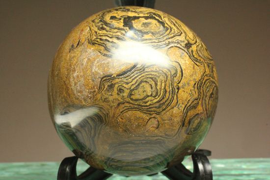 地球に大量の酸素をもたらした元となったストロマトライトの化石(Stromatolite)(その8)