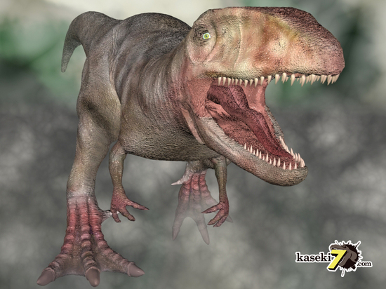 ”巨大歯の先”のカルカロドントサウルスセレーション美歯（その2）