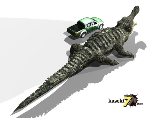 最大級65mmのサルコスクスの美歯 希少なニジェール産!!!　恐竜も恐れた史上最大のワニ 化石 販売