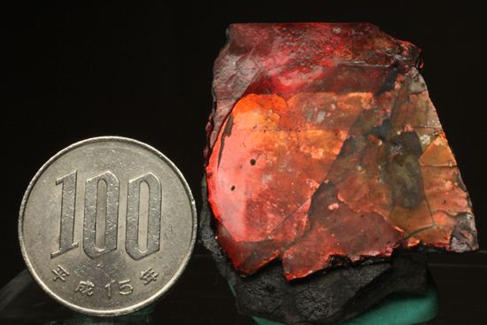 生物化石由来の宝石だからこそ、この輝き!紅緋色アンモライト片(その15)