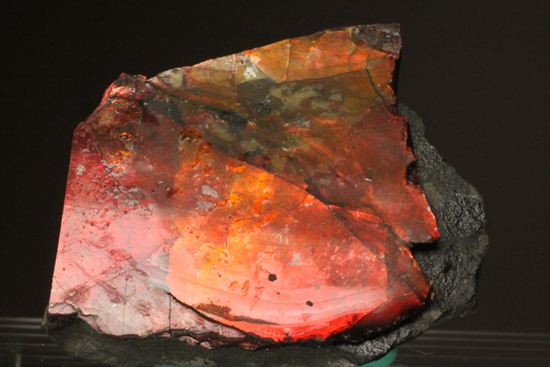 生物化石由来の宝石だからこそ、この輝き!紅緋色アンモライト片(その2)