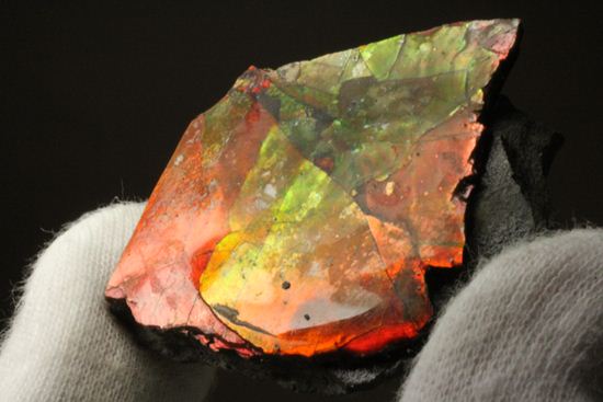 生物化石由来の宝石だからこそ、この輝き!紅緋色アンモライト片(その8)