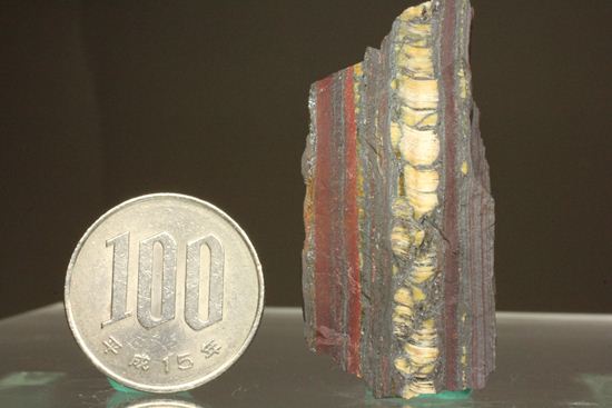 超レア！35億年前の黄金に光るストロマトライト(Stromatolite)（その5）