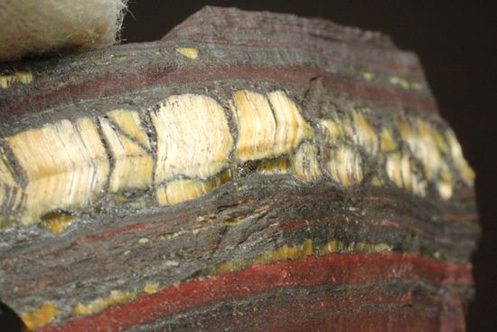 超レア！35億年前の黄金に光るストロマトライト(Stromatolite)（その9）