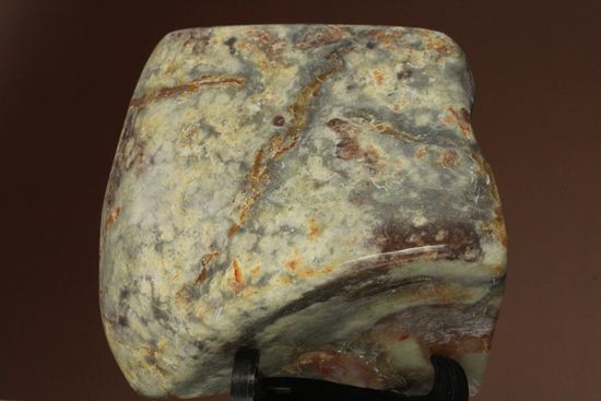 ポリッシュされた、多彩な色がみられる恐竜のウンチ化石(coprolite